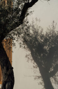 Perlentaucher | Timeless Pure Finca Living