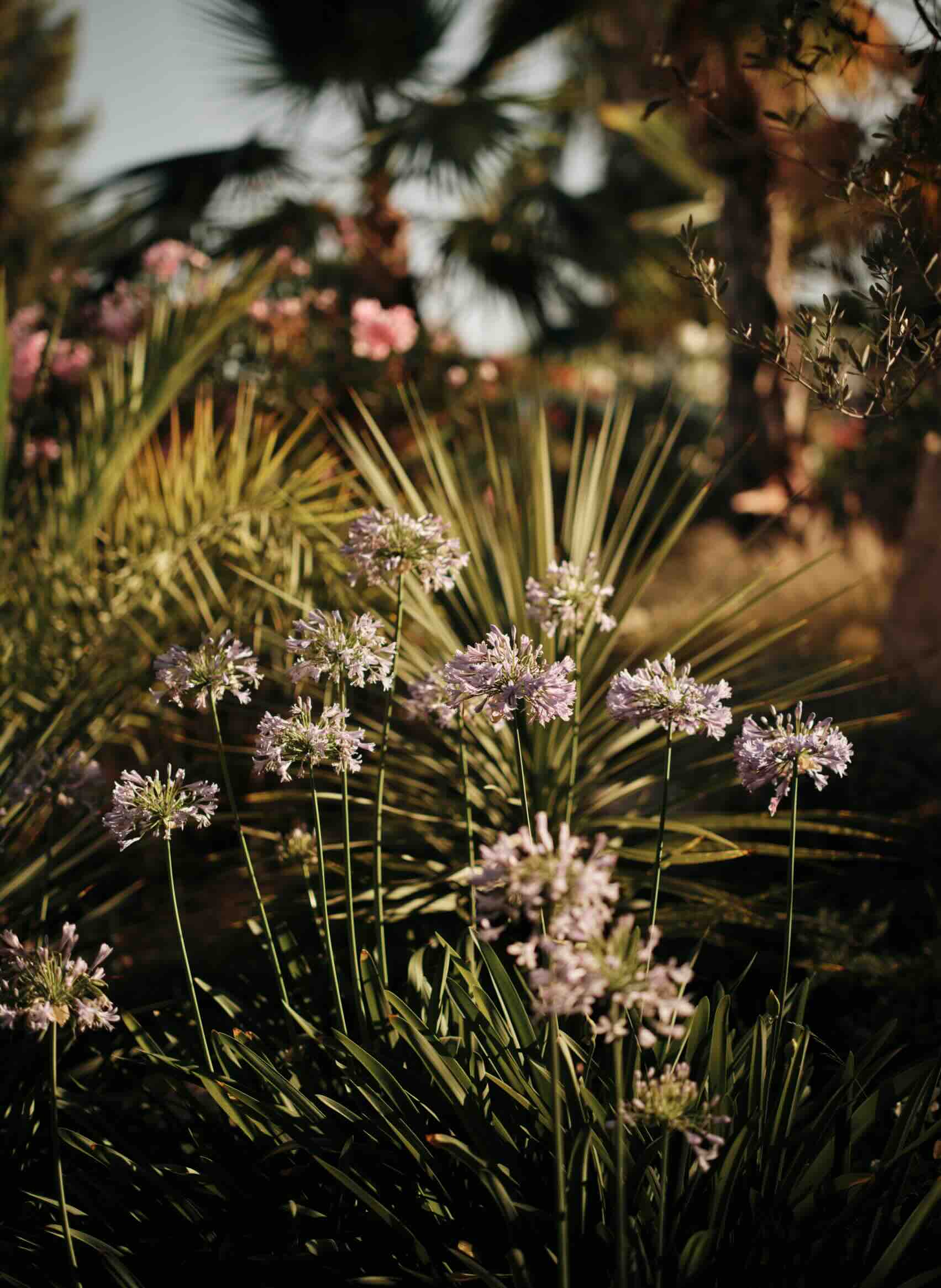 perlentaucher-patrickgraf-29.06.26-low res-79